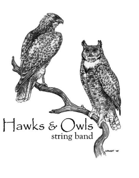 Hawks and Owls String Band